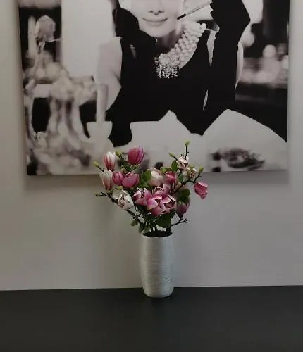 Apartmán Marilyn Prijemny 3 Izbovy V Raci *